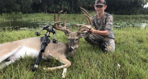 1_Crossbow-deer