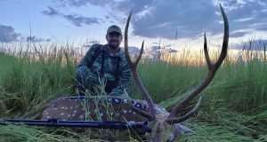 Axis-Deer-Home-scaled