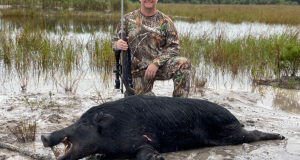 Best-Florida-Hog-Hunting