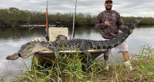 Gator-hunting