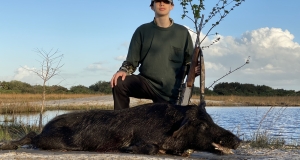 Hog Hunting