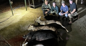 Deer Hunting Florida