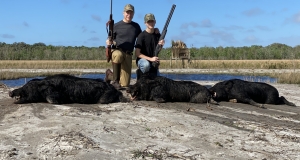 Hog Hunting