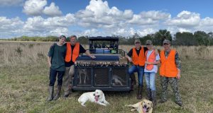 Pheasant hunting