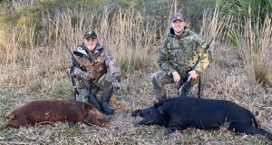Hog Hunting