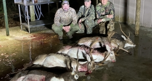 Deer Hunting Florida