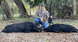 Hog Hunting