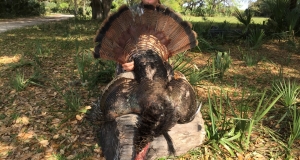 Florida Hunting Adventures Turkey Hunts