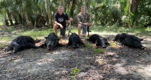 Hog Hunts in Florida