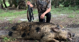Hog Hunts in Florida