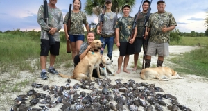 Dove Hunting