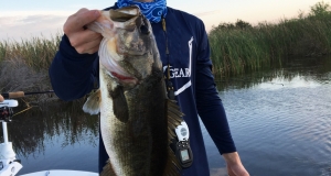 Florida Hunting Adventures