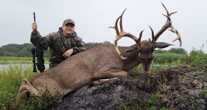 White Tail Deer Hunts