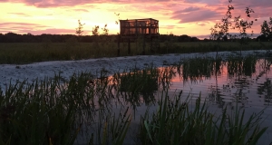 Florida Hunting Adventures Sunset