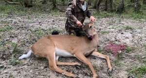 White Tail Deer Hunts