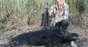 Wild Hog Hunts in Florida