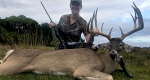 White Tail Deer