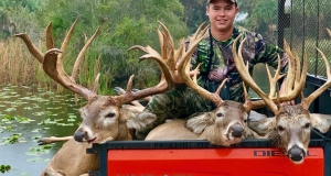 Whitetail Deer Hunting