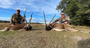 Black Buck Deer Hunts Florida