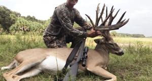 WhiteTailDeerHuntingFlorida
