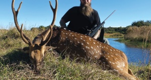 axis-deer-hunting-florida