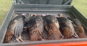 turkey-kubota