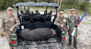 Hog Hunting Florida