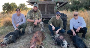 wild-hog-hunting-Florida