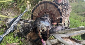 wild-turkey-hunter-florida