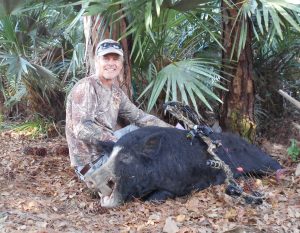 300lb trophy wild hog hunted in Okeechobee, FL