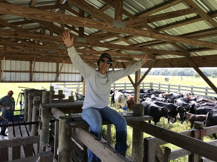 city-slicker-adventure City Slicker Adventure