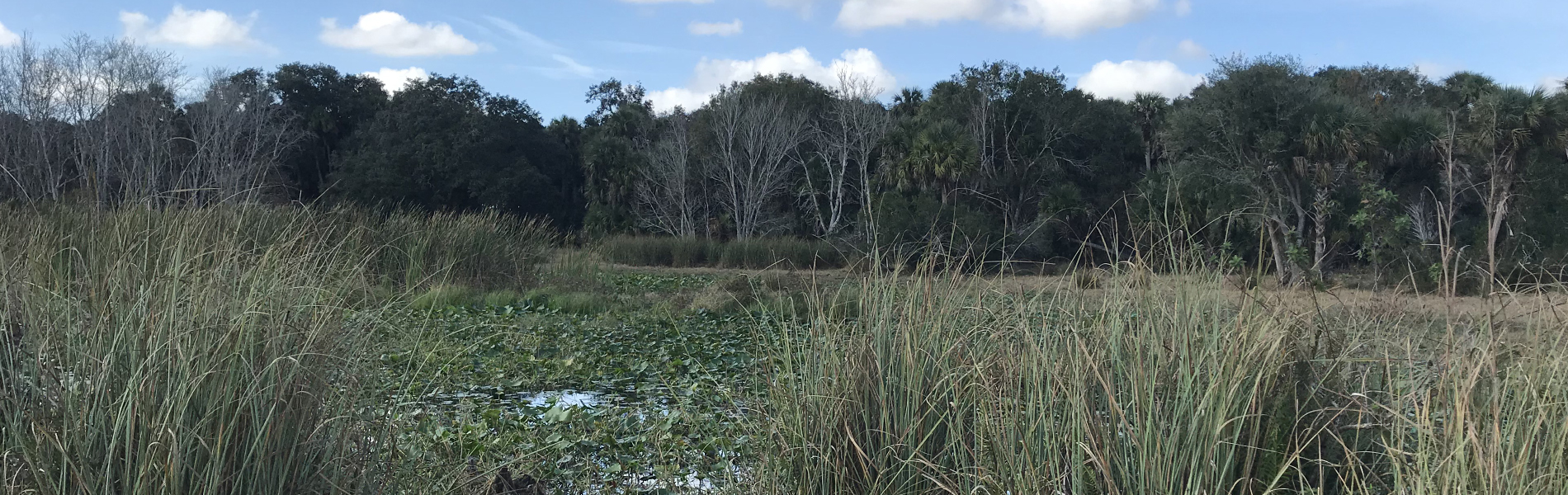 Florida Hunting Adventures — photo 3