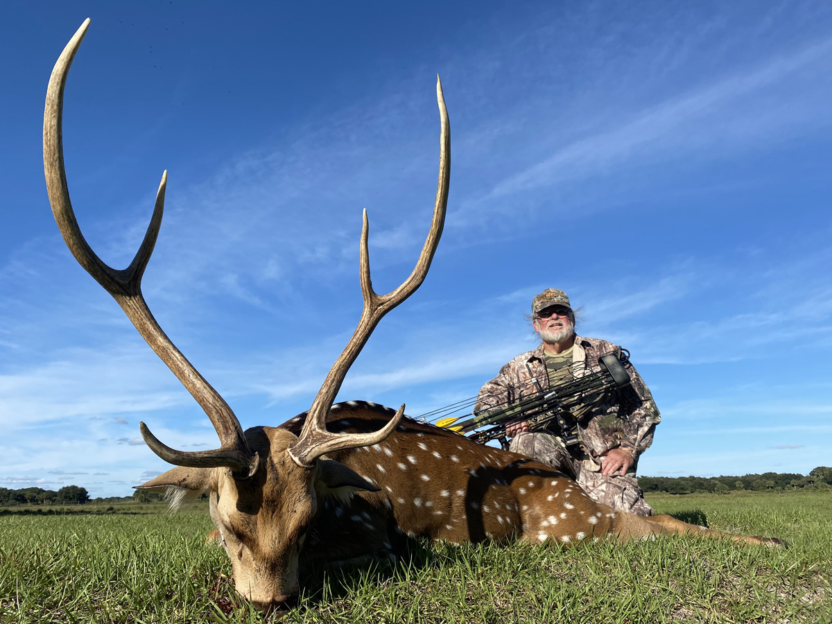 Axis Deer Hunting Florida Hunting, Fishing Outdoor Adventures