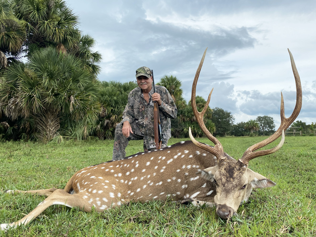 Axis Deer Hunting Florida Hunting, Fishing Outdoor Adventures