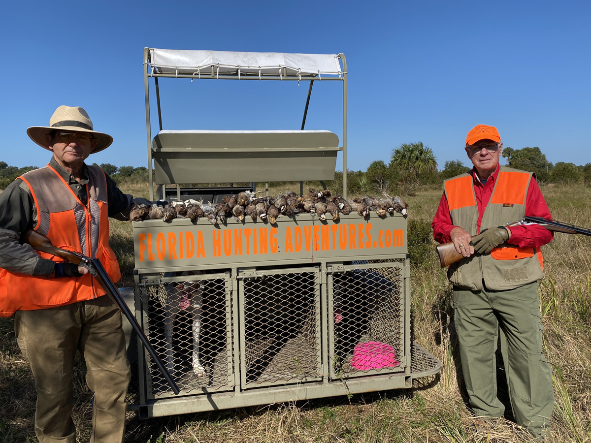 Quail Hunts Florida Hunting, Fishing Outdoor Adventures
