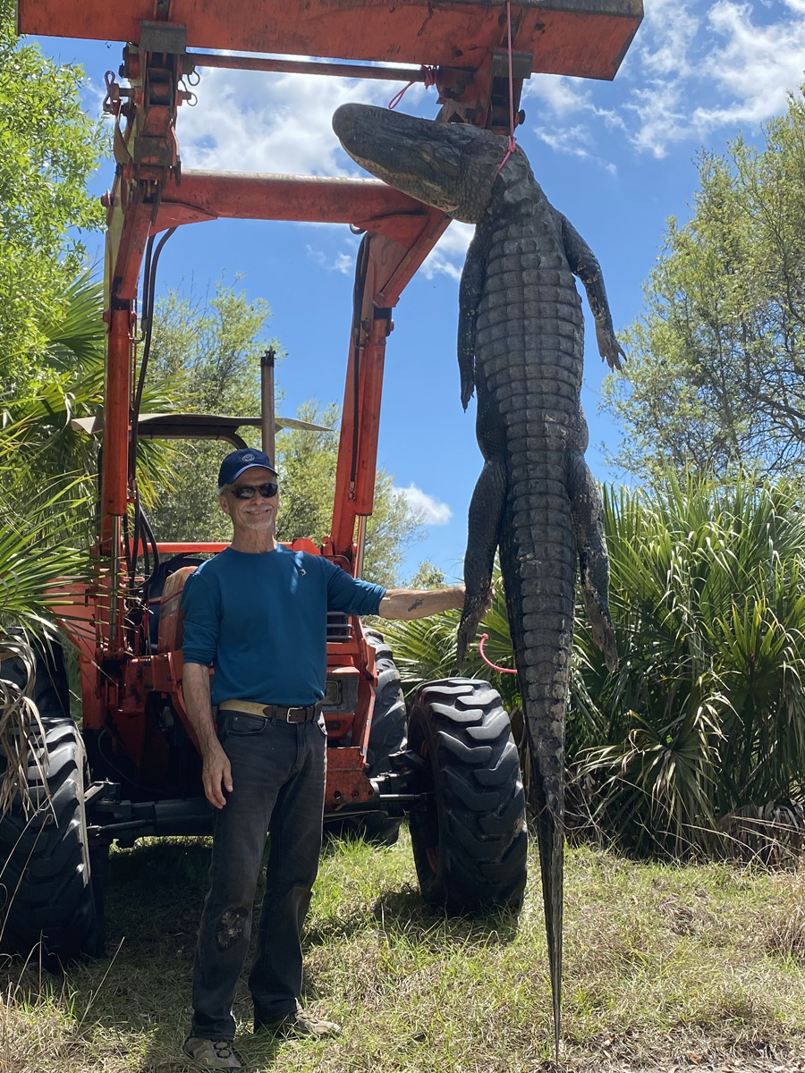 Alligator Hunting in Okeechobee, FL - Florida Hunting, Fishing Outdoor ...