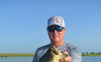 Florida Grown Bass and Gators Bass Fishing