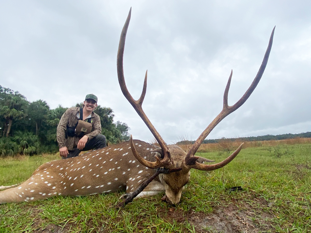 Axis Deer Hunting in Okeechobee, FL Axis Deer Hunts