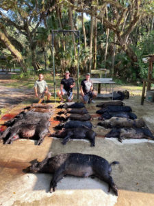 Hog hunting group in florida that collected 16 hogs